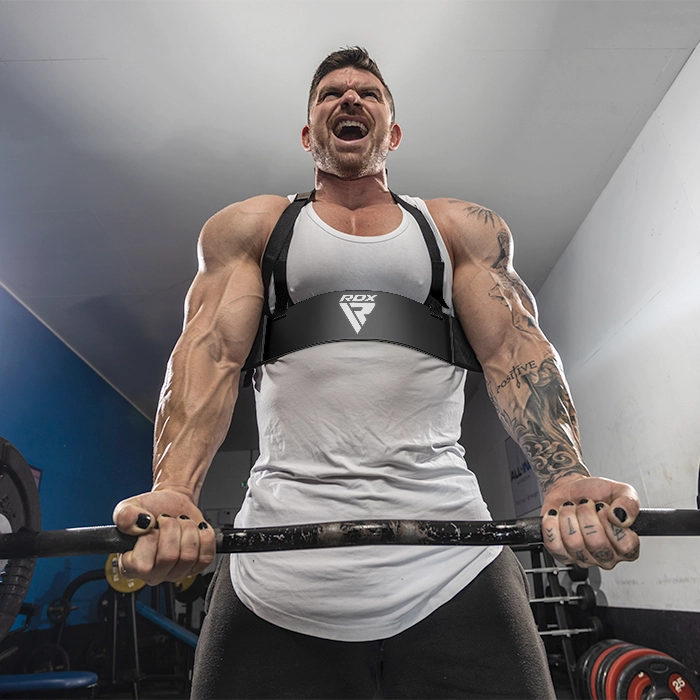 RDX Gym Arm Blaster T2 – Ultimate Bicep & Tricep Isolation
