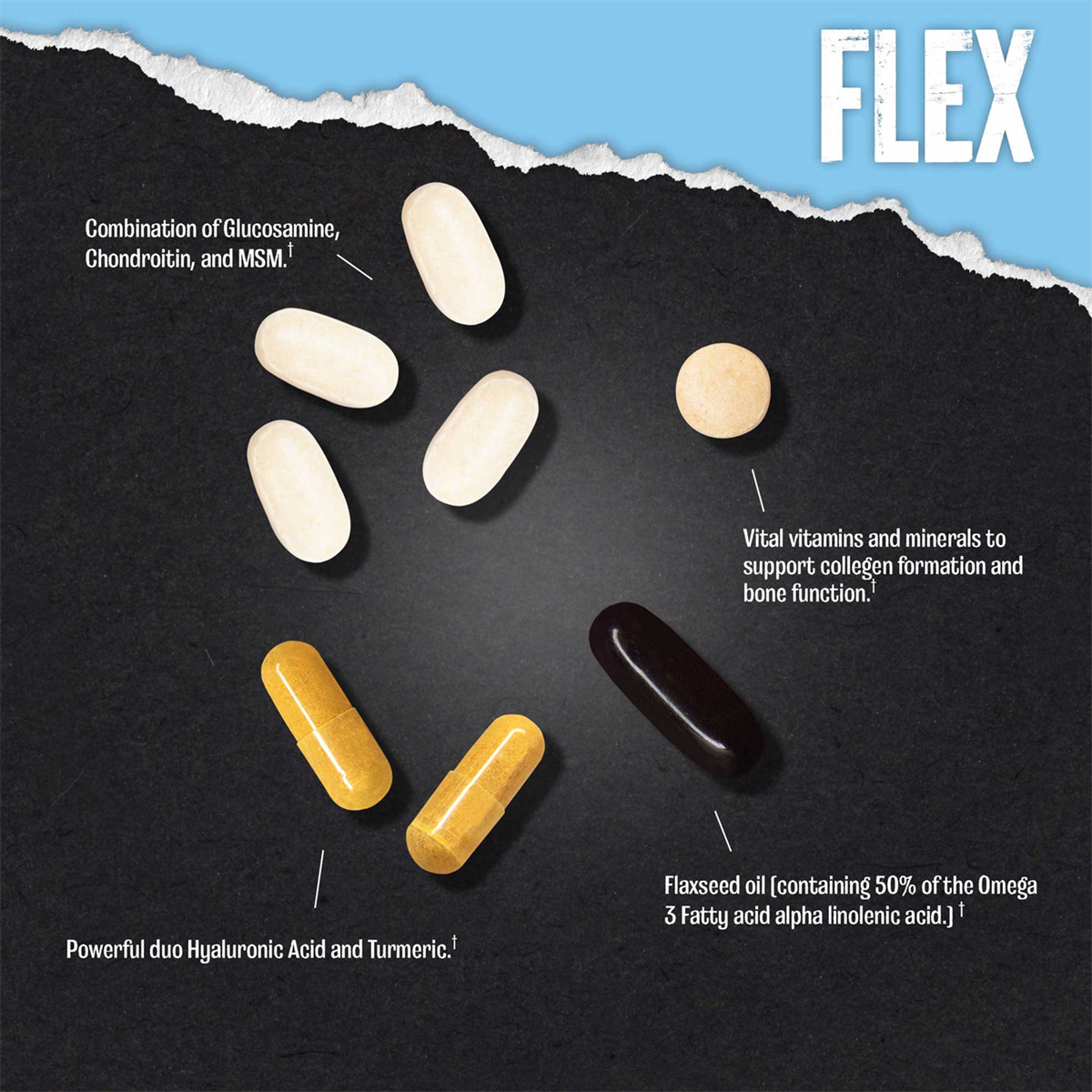 Animal Flex 44 Packs Advanced Joint Support Formula