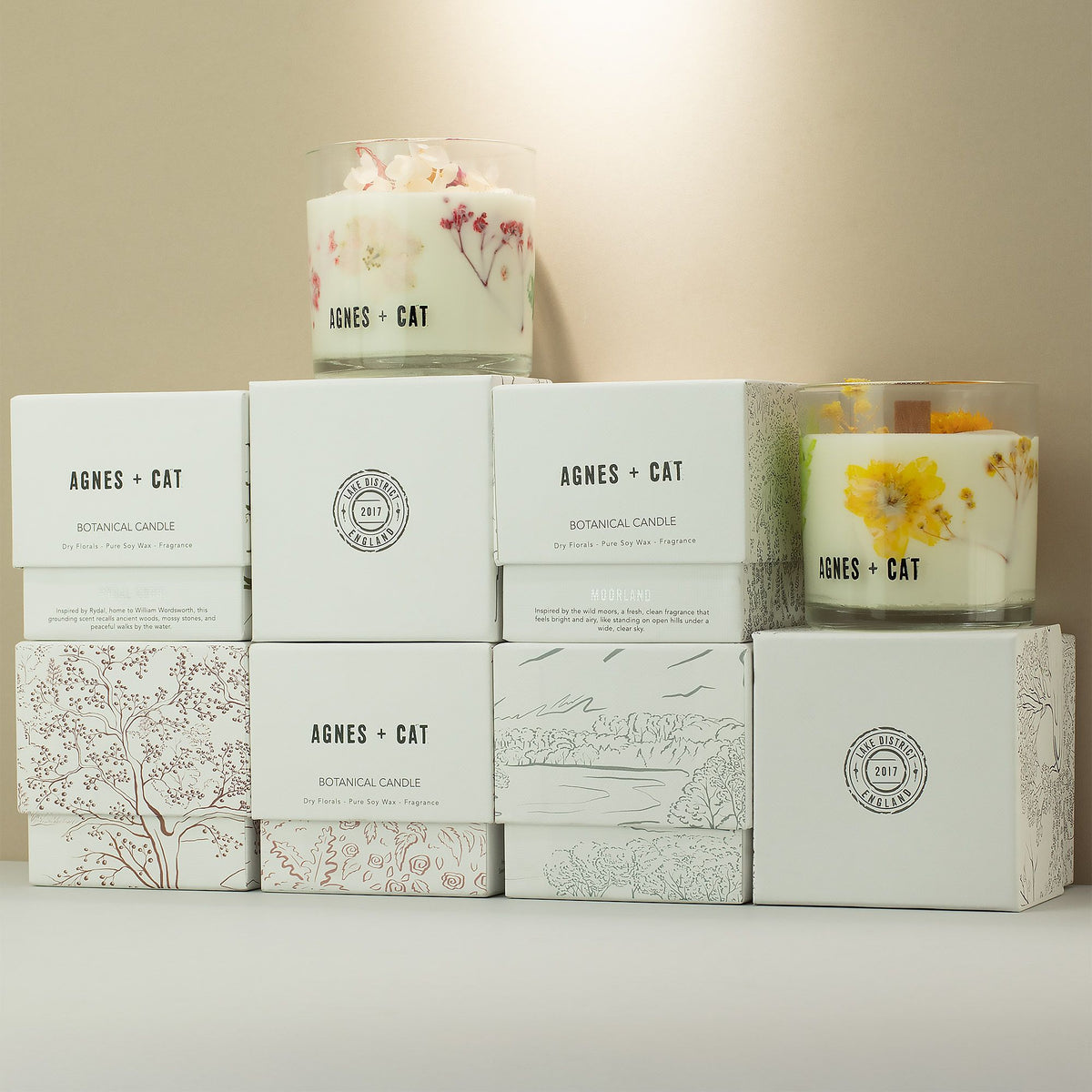 Agnes + Cat Botanical Soy Candle – Lakeland Mocha