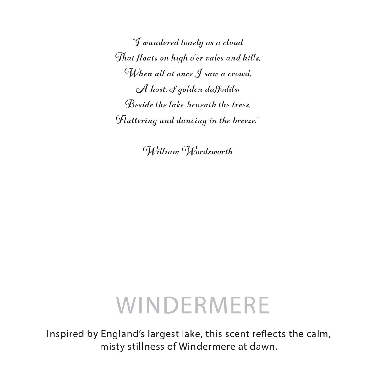 Agnes + Cat Botanical Soy Candle – Windermere