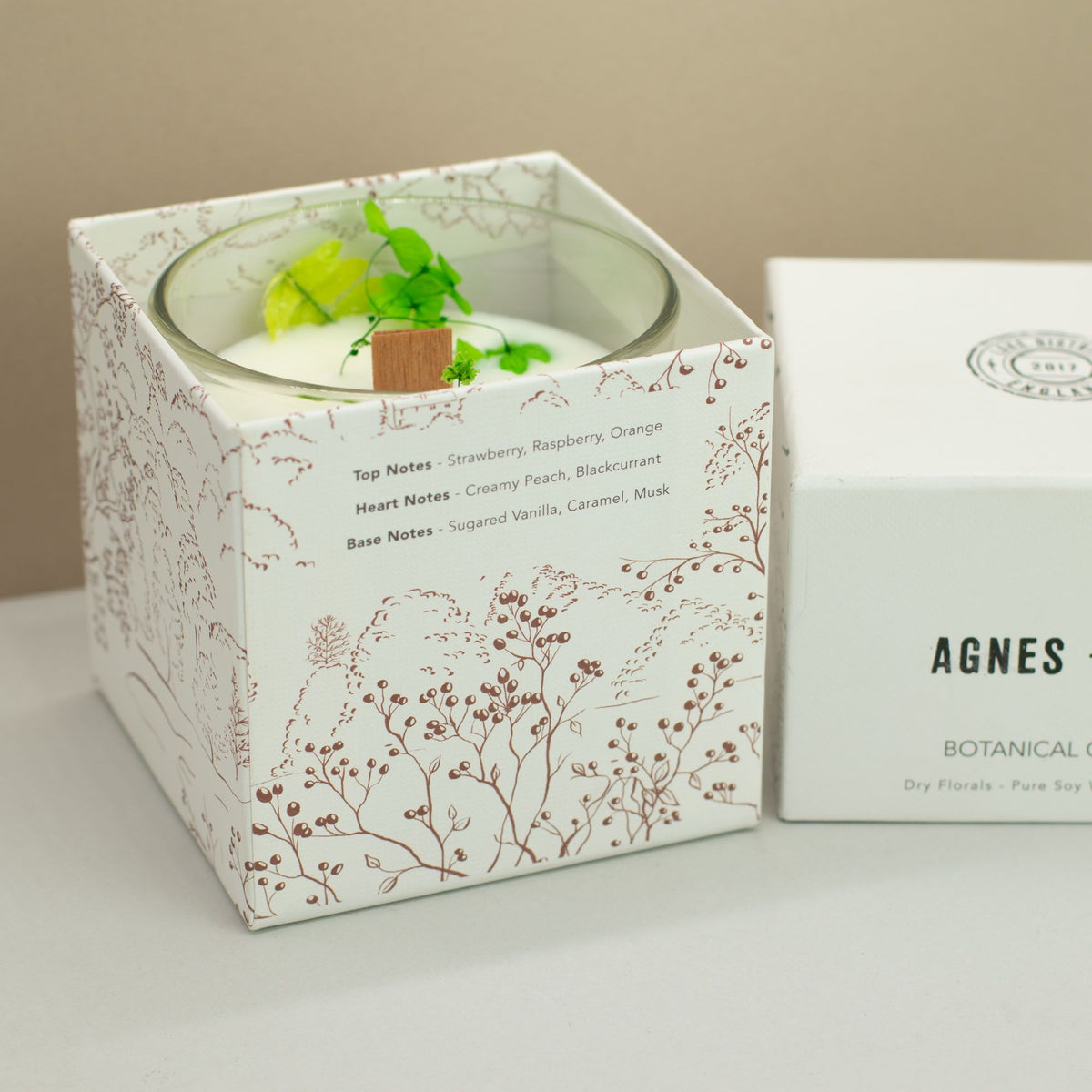 Agnes + Cat Botanical Soy Candle – Fellberry