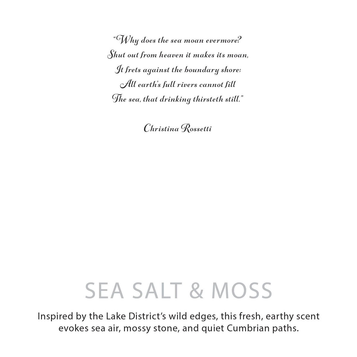 Agnes + Cat Botanical Soy Candle – Sea Salt & Moss