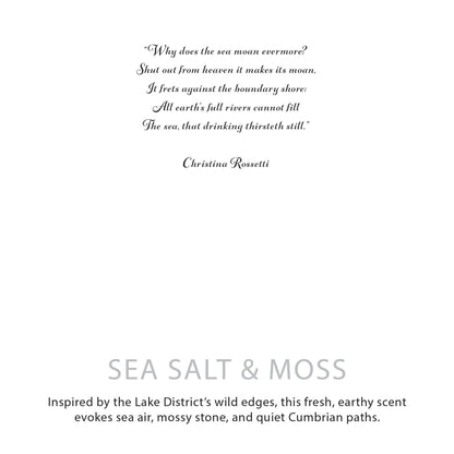 Agnes + Cat Botanical Soy Candle – Sea Salt & Moss
