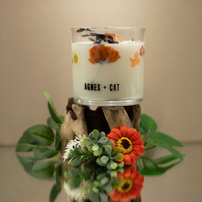 Agnes + Cat Botanical Soy Candle – Lakeland Mocha